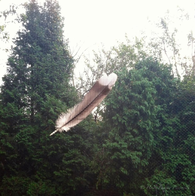 1233260_10201523057292303_1239387402_o