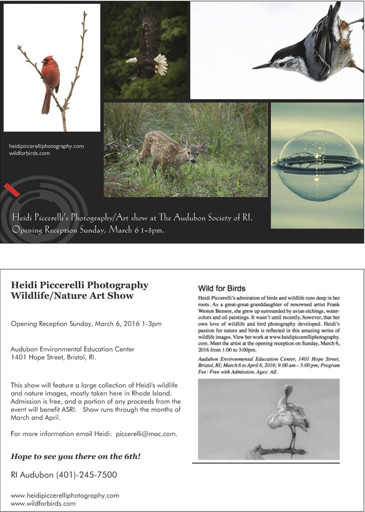 Screen Shot 2016-02-08 at 6.52.42 PM