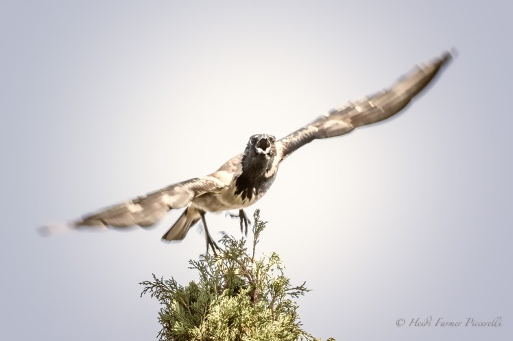 3D2A6844-Edit-Edit-2