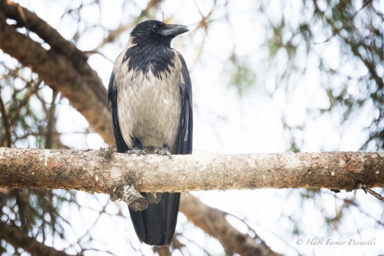 3D2A6876-Edit-Edit-Edit-Edit